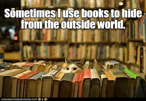 They have worlds within... - Lolcats - lol | cat memes | funny cats ...