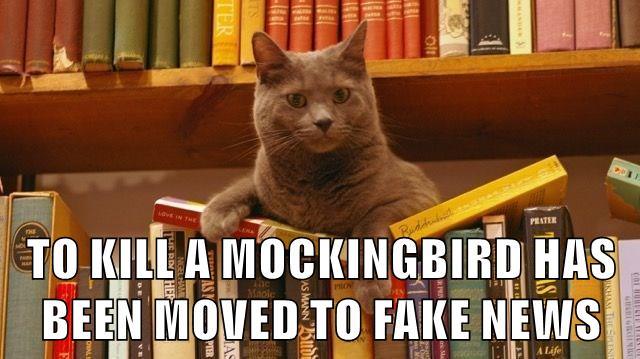 FAKE NEWS - Lolcats - lol | cat memes | funny cats | funny cat pictures ...