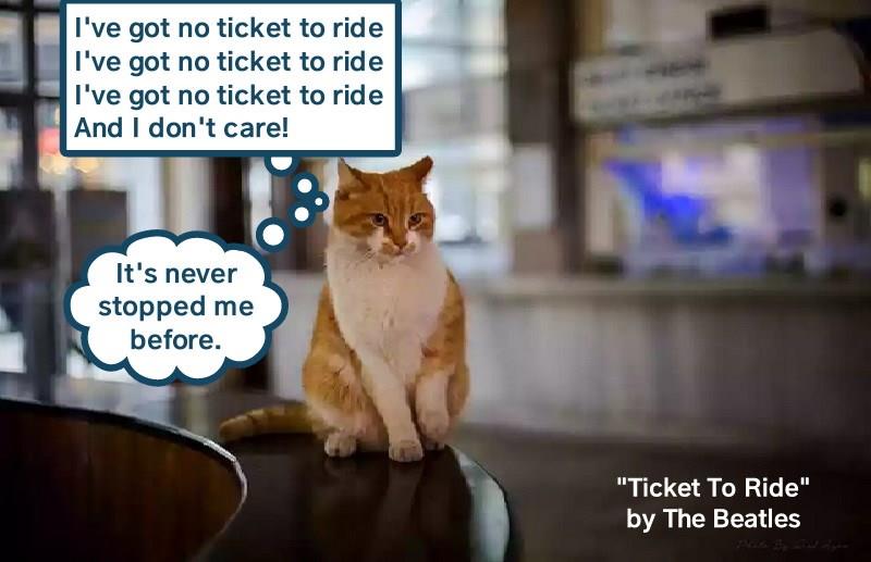 "Ticket To Ride" by The Beatles Lolcats lol cat memes funny