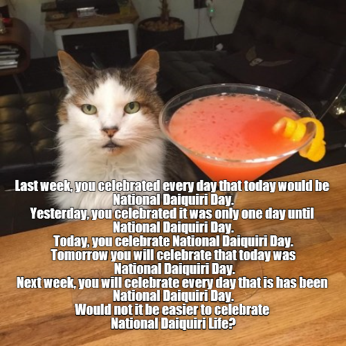 Unlimited National Daiquiri Lolcats lol cat memes funny cats