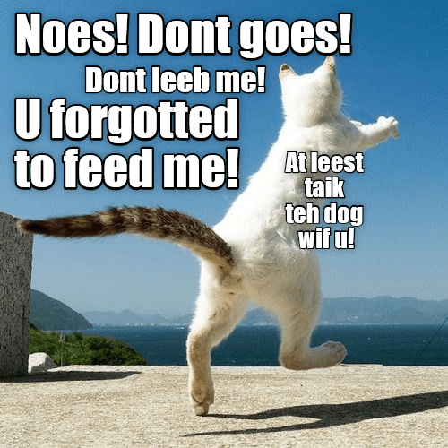 Noes! Dont goes! - Lolcats - lol | cat memes | funny cats | funny cat ...