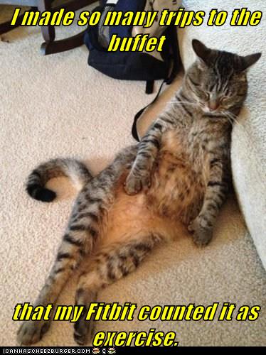 I made so many trips to the buffet... - Lolcats - lol | cat memes ...