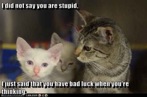 I just said that you have bad luck when you're thinking. - Lolcats ...