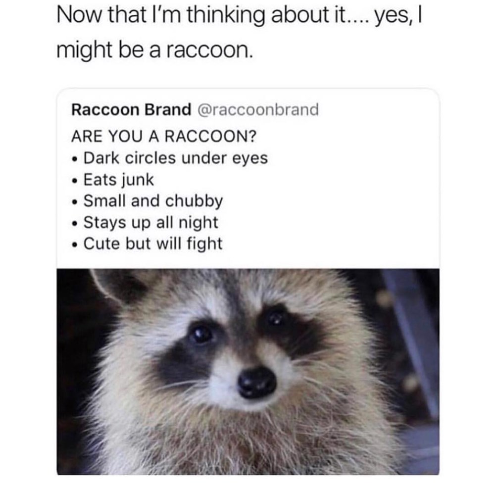 Yup Definitely A Raccoon Memebase Funny Memes 1674
