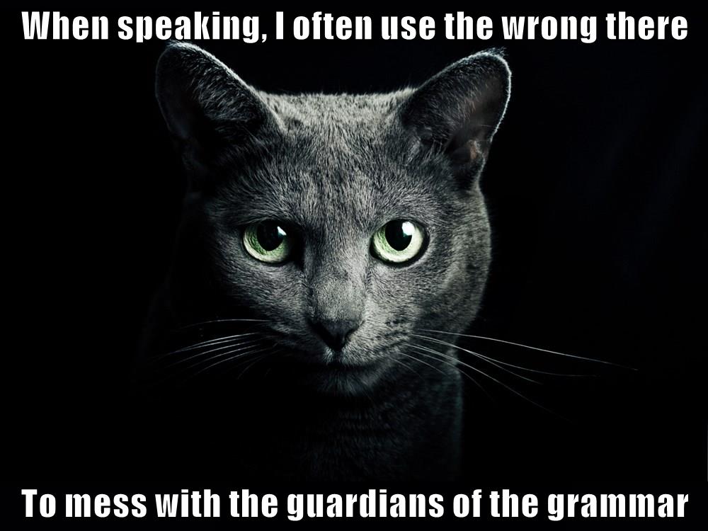 When speaking... - Lolcats - lol | cat memes | funny cats | funny cat ...