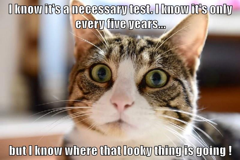 I know it's a necessary test... - Lolcats - lol | cat memes | funny ...