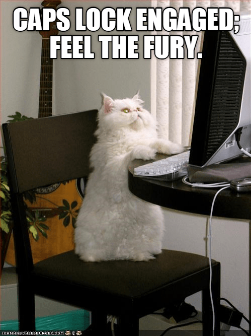 STOP YELLING AT ME! - Lolcats - lol | cat memes | funny cats | funny