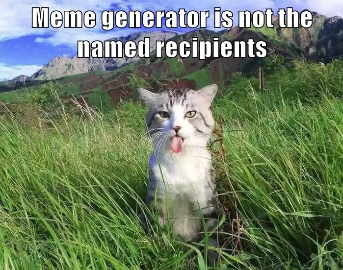 cute cat meme generator