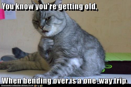 You know you're getting old... - Lolcats - lol | cat memes | funny cats ...