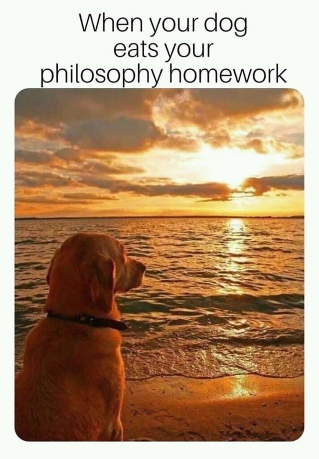 funny-meme-about-dog-eating-philosophy-homework