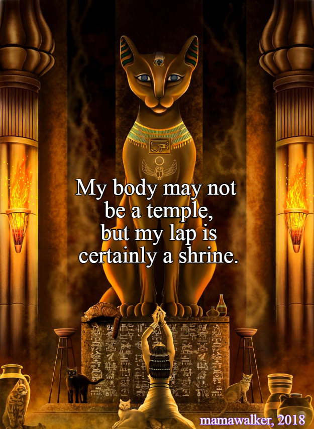 My cat You may pet me. Twice. Not once. Not 3 times...TWICE. Lolcats