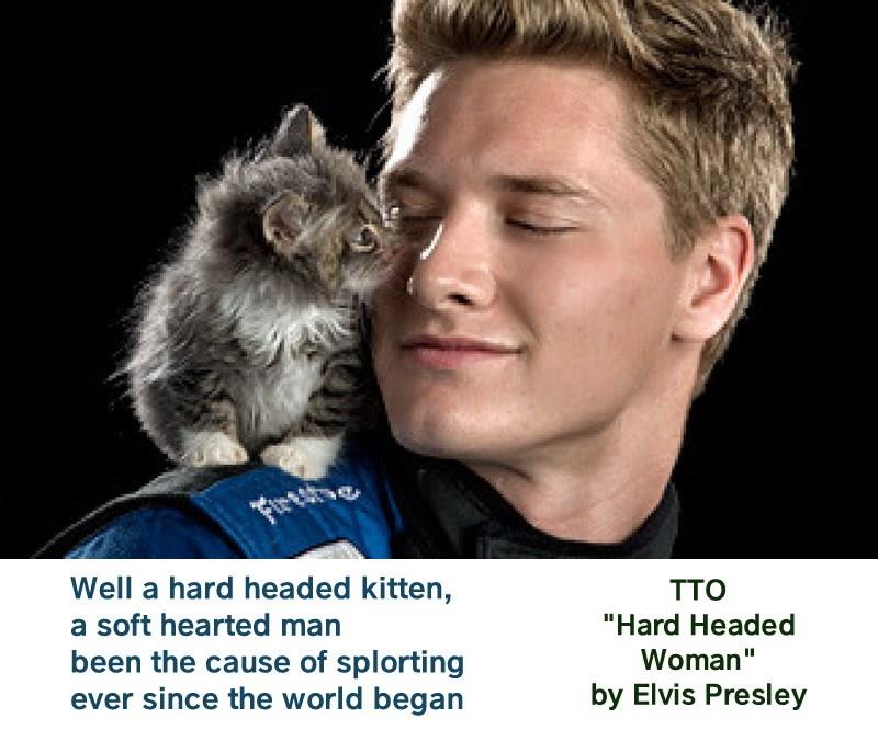 "Hard Headed Kitten" (TTO "Hard Headed Woman" by Elvis Presley