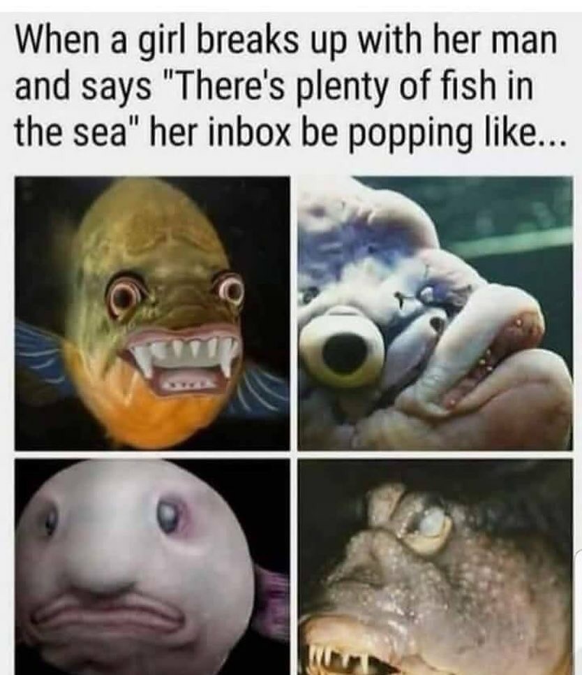 Plenty Of Ugly Fish In The Sea - Ugly Fish Meme - Ugly Fish Meme - Pin