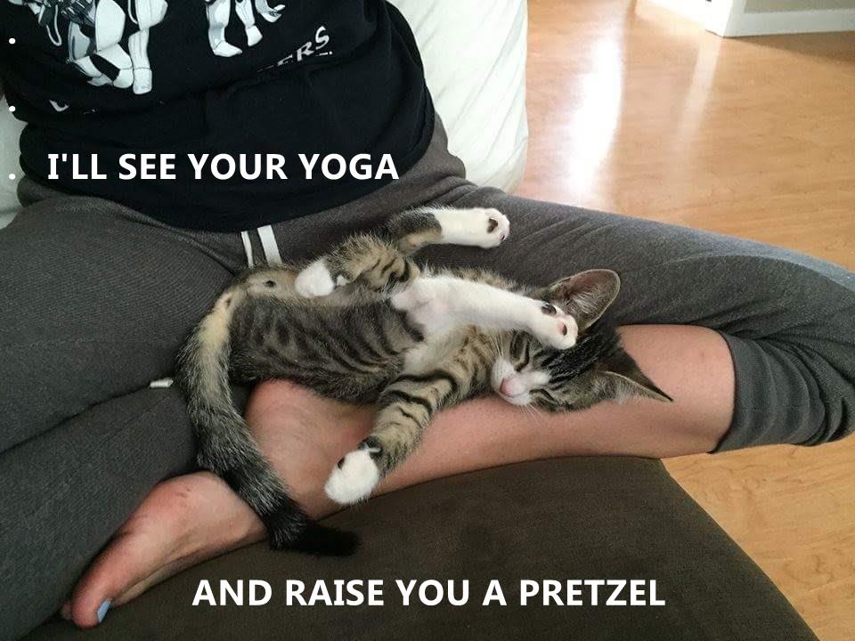 I'll see your yoga . . I'LL SEE YOUR YOGA AND RA