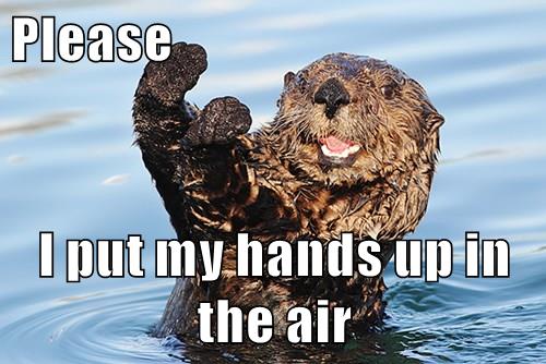 please-i-put-my-hands-up-in-the-air-animal-comedy-animal-comedy