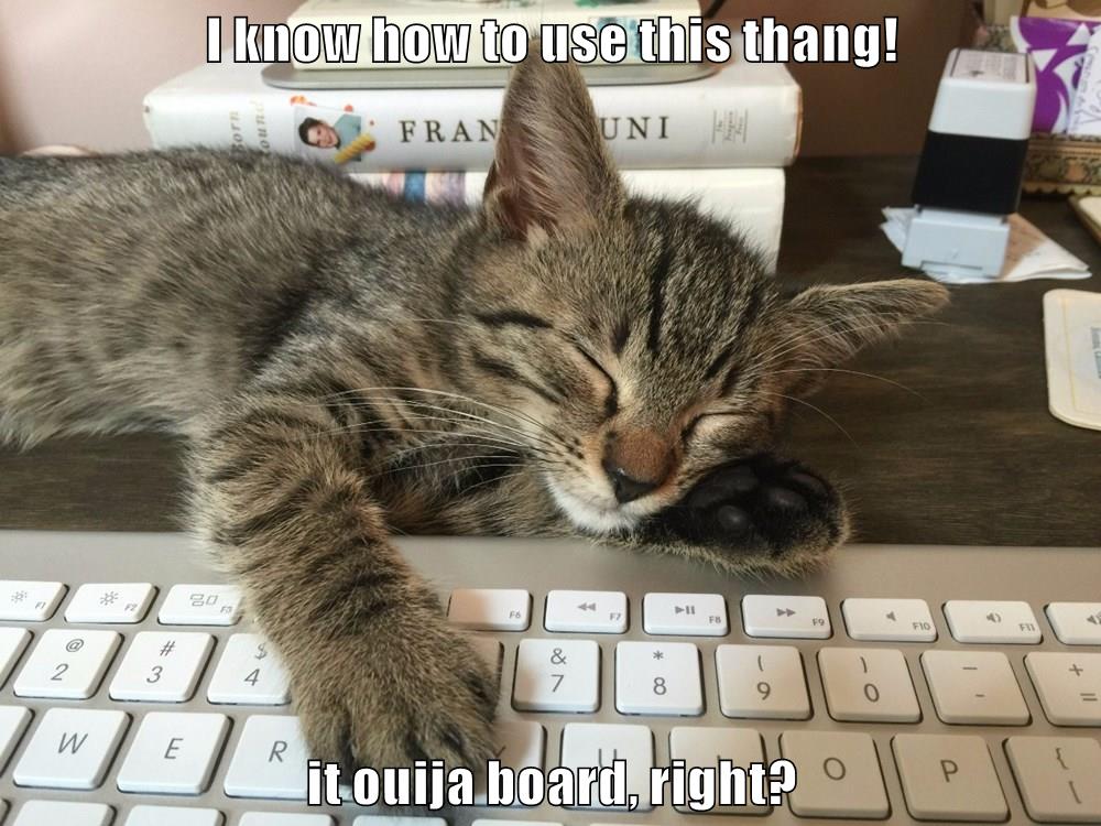 I know how to use this thang! it ouija board, right? - Lolcats - lol ...