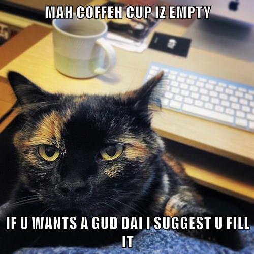 MAH COFFEH CUP IZ EMPTY - Lolcats - lol | cat memes | funny cats ...