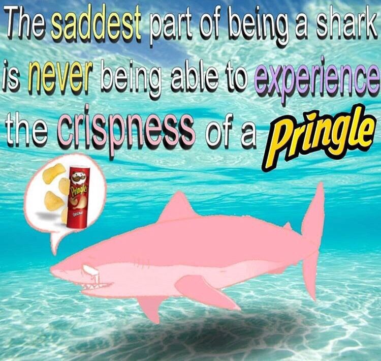 Memebase so sad All Your Memes In Our Base Funny Memebase so sad All Your Memes In Our Base Funny