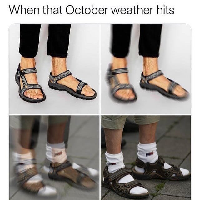 Memebase socks and sandals  All Your Memes In Our Base 