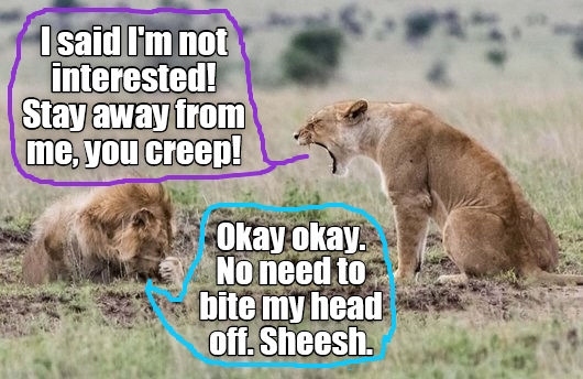 Some guys just can't take a hint - Animal Comedy - Animal Comedy, funny ...