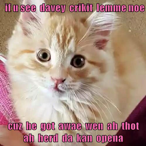 If u see davey crikit lemme noe - Lolcats - lol | cat memes | funny ...