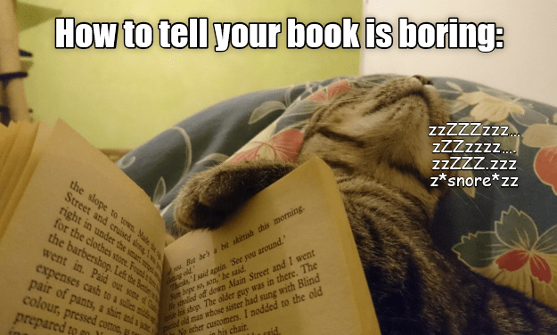 How to tell your book is boring: - Lolcats - lol | cat memes | funny ...