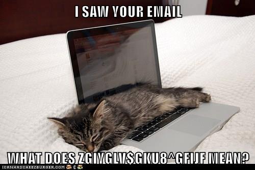 ZGIYGLV$GKU8^GFIJF ?!? - Lolcats - lol | cat memes | funny cats | funny ...