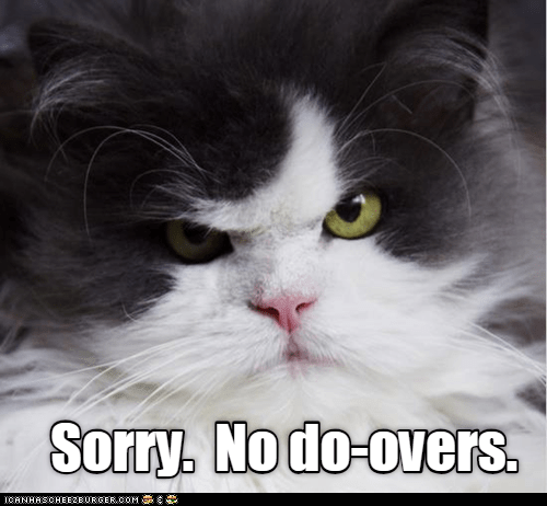 Sorry Lolcats Lol Cat Memes Funny Cats Funny Cat Pictures With Words On Them 