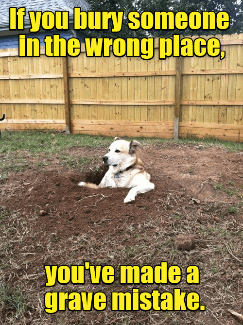 Can you dig it? - I Has A Hotdog - Dog Pictures - Funny pictures of ...