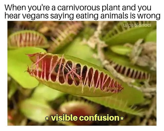 Take That, Vegans Memebase Funny Memes
