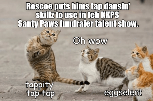 KKPS Fund Raiser - Lolcats - lol | cat memes | funny cats | funny cat ...