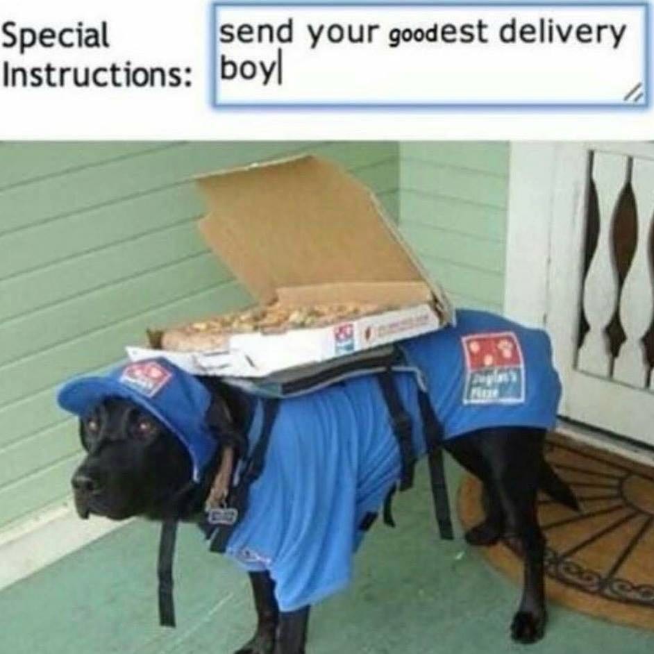 Special Delivery - Memebase - Funny Memes