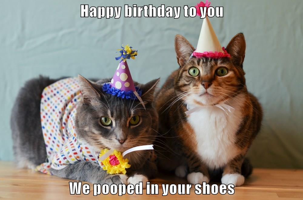 Happy birthday - Lolcats - lol | cat memes | funny cats | funny cat pictures with