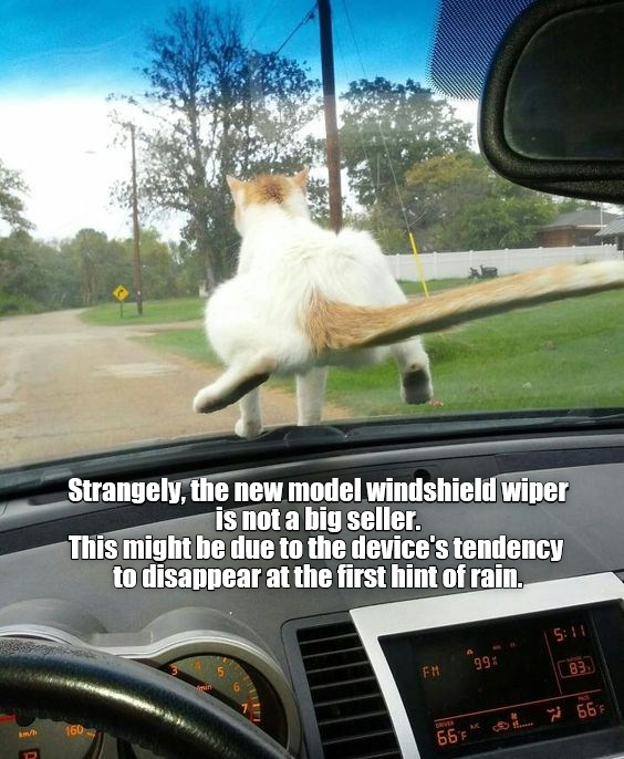 New model windshield wiper Lolcats lol cat memes funny cats funny cat pictures with