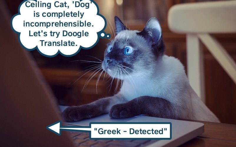 Translation Please Lolcats Lol Cat Memes Funny Cats Funny