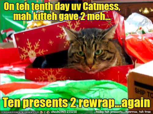 Teh Elebenty +1 dayz uv Catmess - Lolcats - lol | cat memes | funny ...