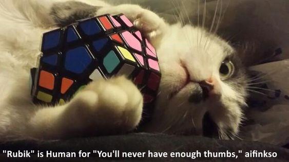 Rubiks Race - Cats Whiskers