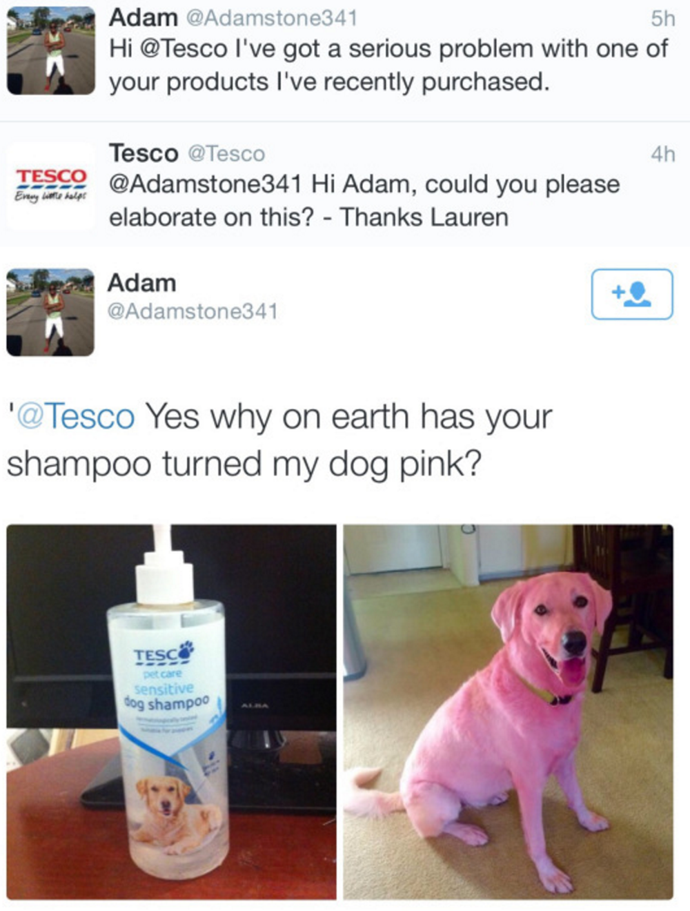 pink dog shampoo