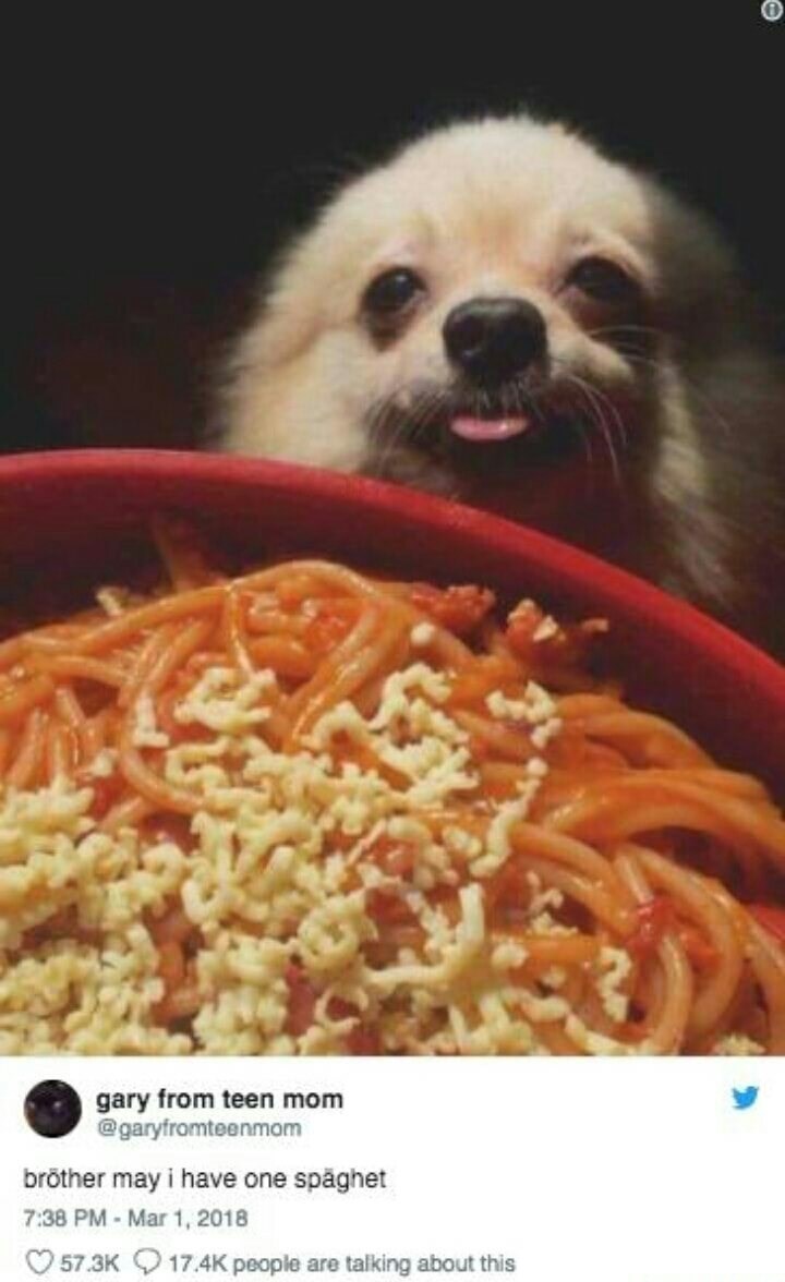 Brother Can I Have Some Loops