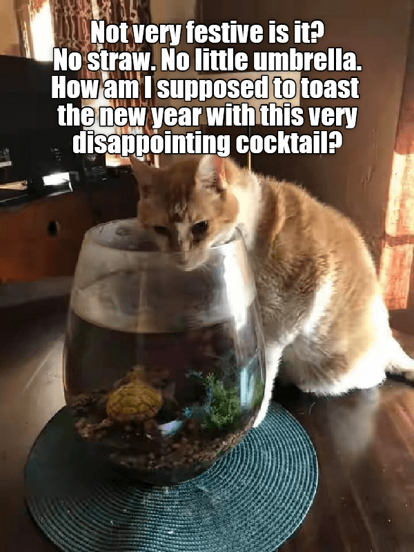 And worst of all: no goldfish! - Lolcats - lol | cat memes | funny cats ...