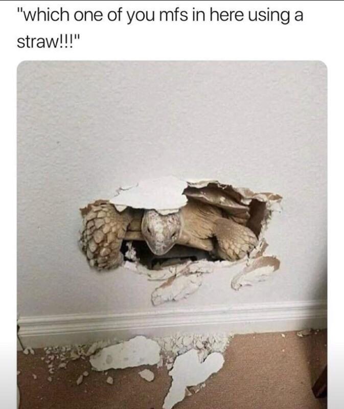 Memebase straw ban All Your Memes In Our Base Funny Memes