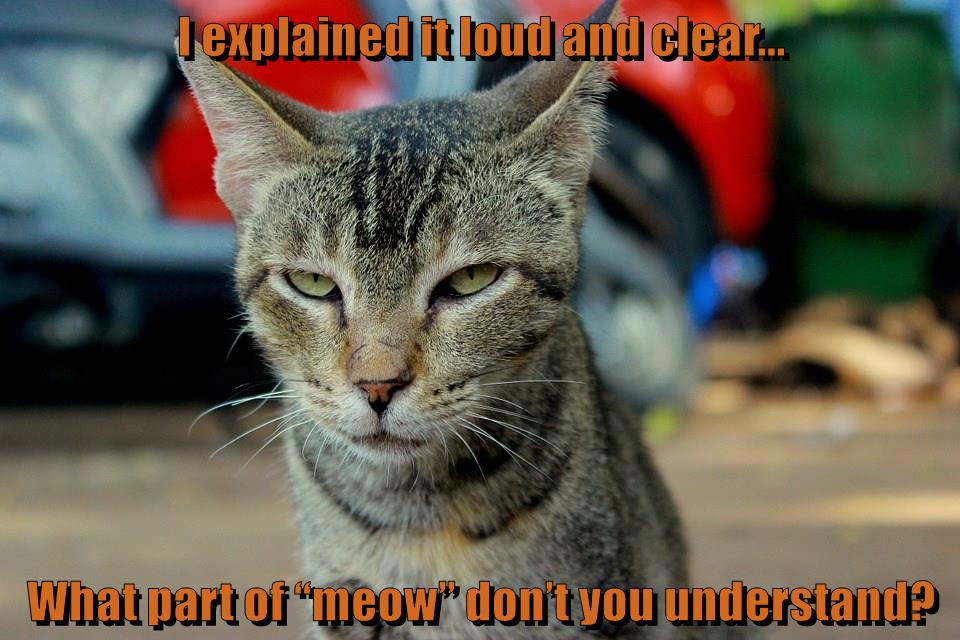 What part of “meow” don’t you understand? - Lolcats - lol | cat memes ...