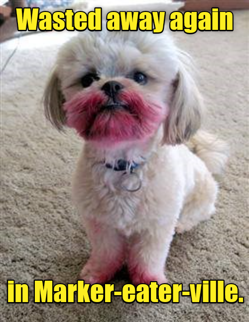 Some people claim that there's a Sharpie to blame... I Has A Hotdog