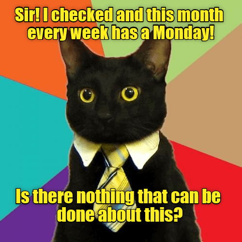 Aren t There Rules Against Too Many Mondays Lolcats Lol Cat 