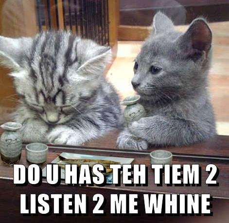 DO U HAS TEH TIEM? - Lolcats - lol | cat memes | funny cats | funny cat ...