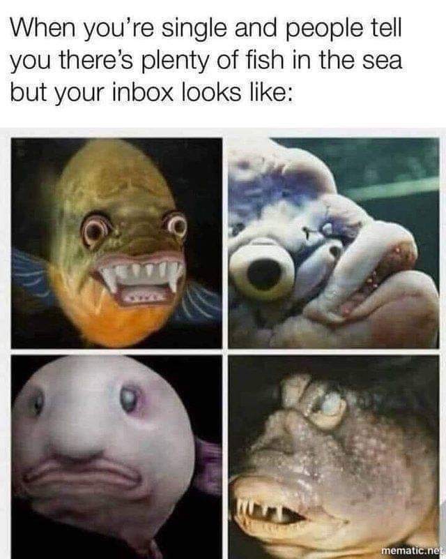 plenty of fish dating meme