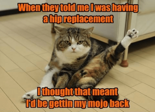 A misunderstanding of the procedure and its outcome - Lolcats - lol ...