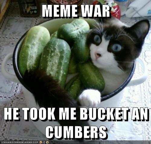 MEME WAR - Lolcats - lol | cat memes | funny cats | funny cat pictures ...