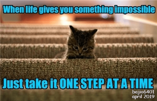 DON'T GIVE UP, KEEP ON TRYING - Lolcats - lol | cat memes | funny cats