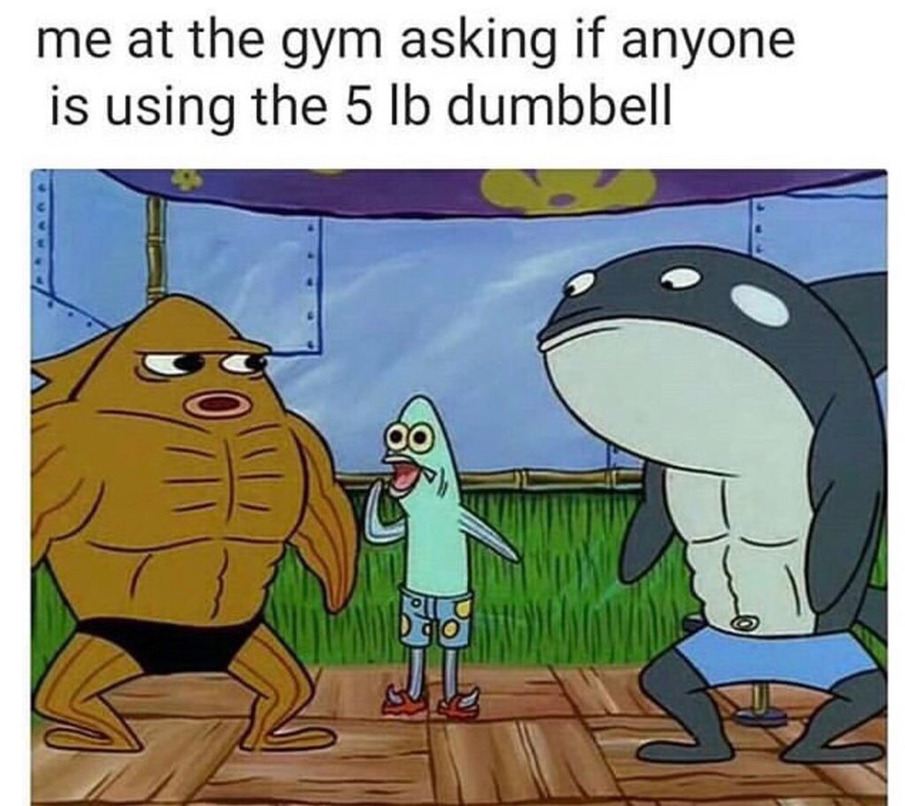 Memebase gym All Your Memes In Our Base Funny Memes Cheezburger